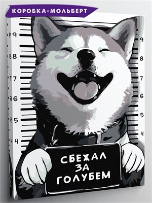 {{photo.Alt || photo.Description || 'Виновен! Сбежал за голубем - Собака преступник.'}}