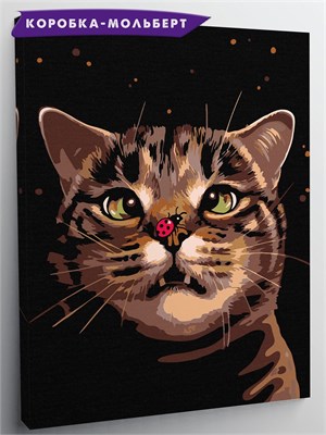 {{photo.Alt || photo.Description || 'Кот и божья коровка - Ловля.'}}