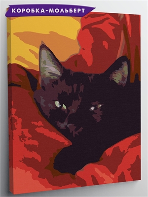 {{photo.Alt || photo.Description || 'Черный котик.'}}