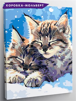 {{photo.Alt || photo.Description || 'Мейн-кун котята - Котятя спят.'}}