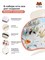 Waifu Material - Девушка Для взрослых, 18+ p53966 - фото 11174