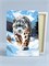 Снежный барс - Дикий кот. p57444 - фото 13012