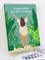 Комплект картин по номерам - Время для нового + Создай свой путь - Плакаты. p57611 - фото 15732