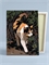Трёхцветная кошка - На удачу. p57945 - фото 20967