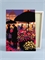 Ночной цветочный рынок - Цветы. p57971 - фото 21246
