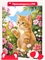Котик с бабочкой в саду p58344